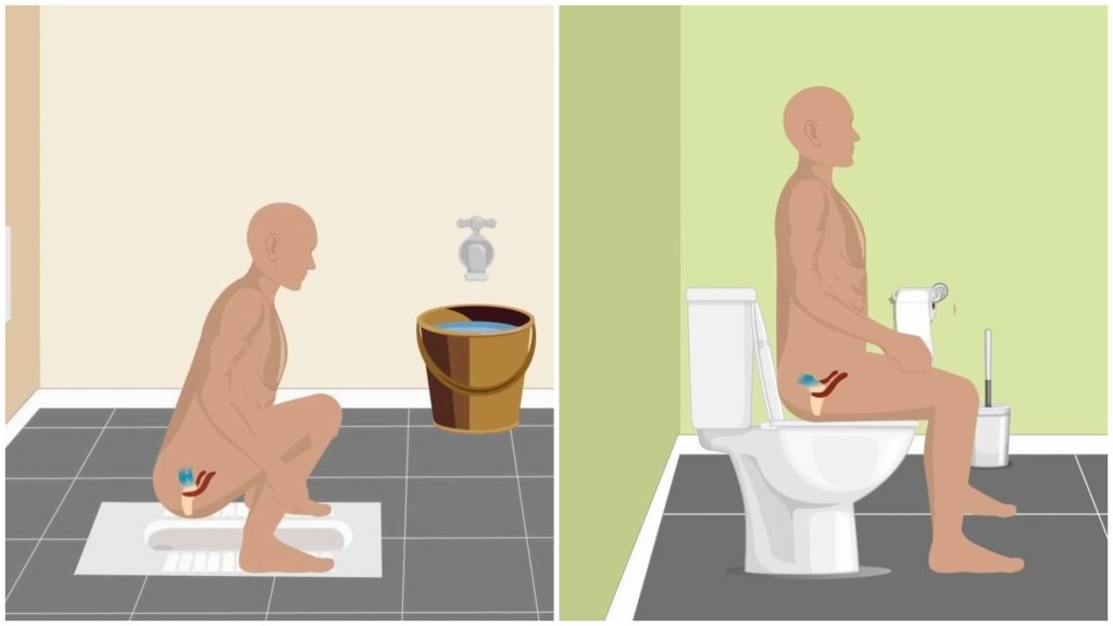 difference between squat toilet vs sitting toilet