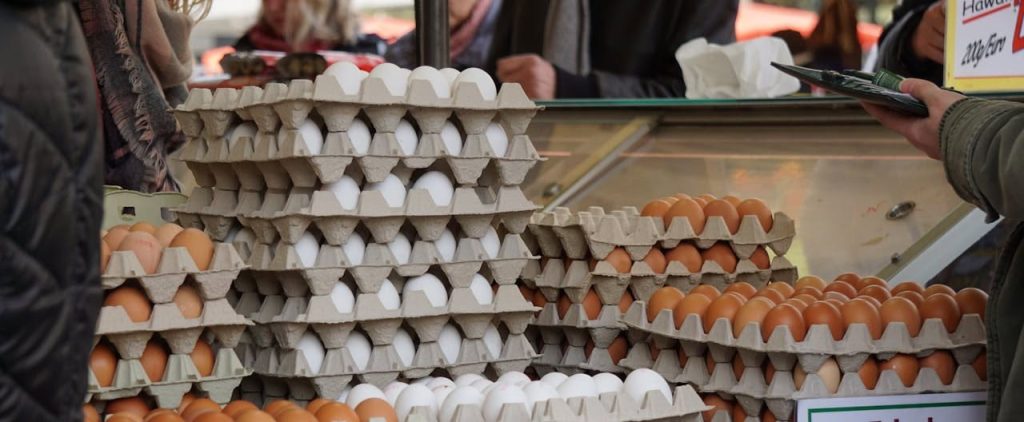 Eggs crates
