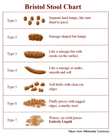 bristol-stool-chart