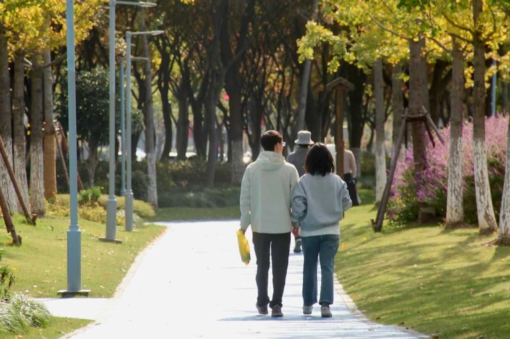 walk-in-park